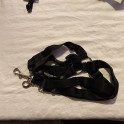 New 2 Pack Safety Dog seat Belts 
