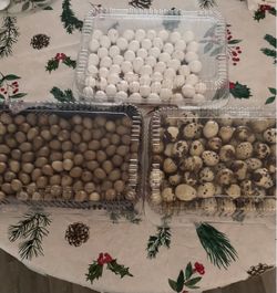 Fresh quail eggs