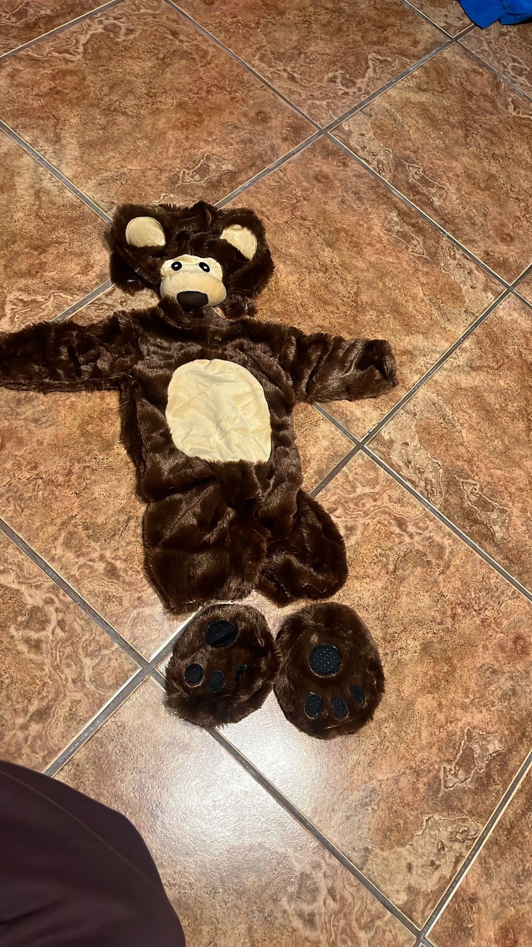 Baby Bear Costume