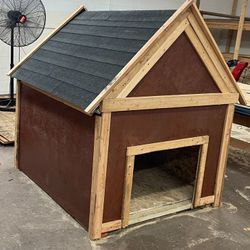 Dog House 