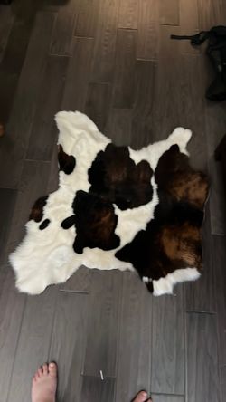 Genuine cow hide