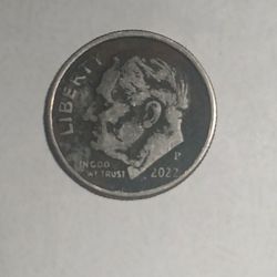 Roosevelt Dime Error Coin
