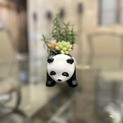 Panda Ceramic Container (small)