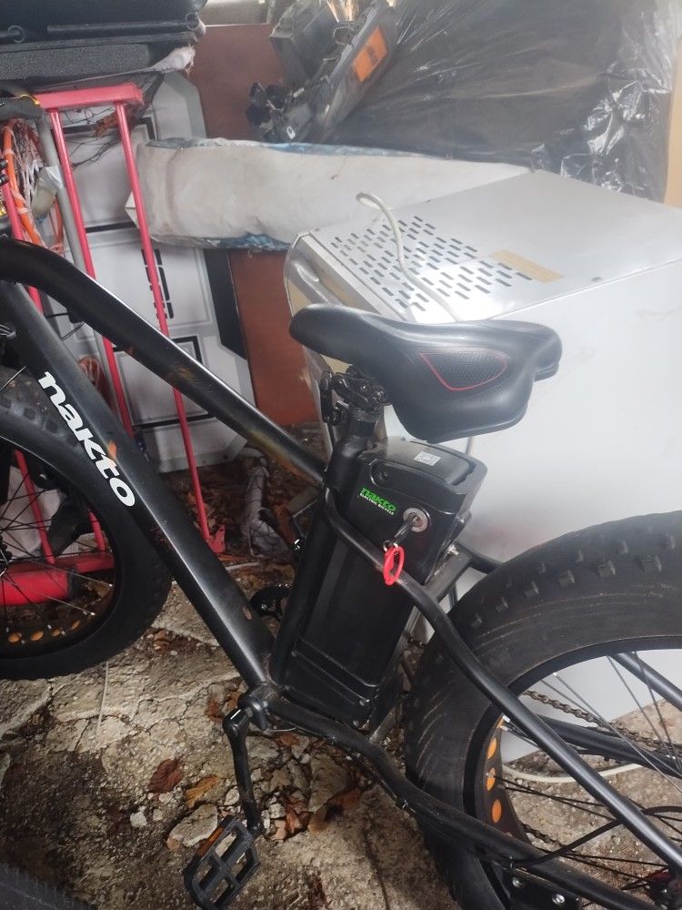 Electric Bike