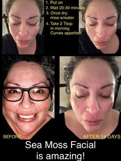 Organic Sea Moss - 16 Oz