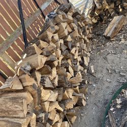 Selling Fire Wood For 20$ A Wheelbarrow Oak Tree Only Cash 