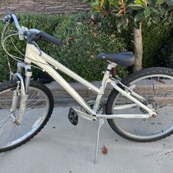 Giant Boulder SE Mountain Bike