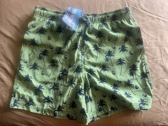 Men’s Swim Trunks, New, Medium , Biwisy