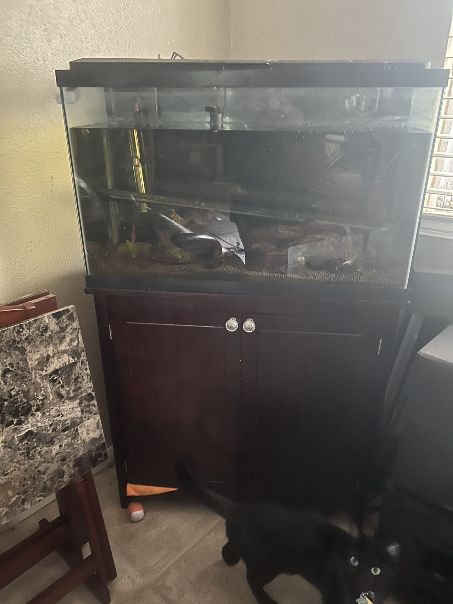29g Tank/stand