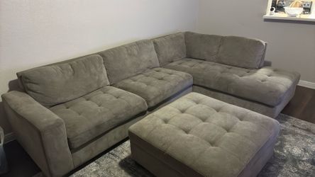 Sectional couch with couch cleaner included