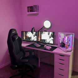 Entire Gaming/streaming Setup 