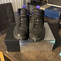 Jordan 12 Dark Concord 