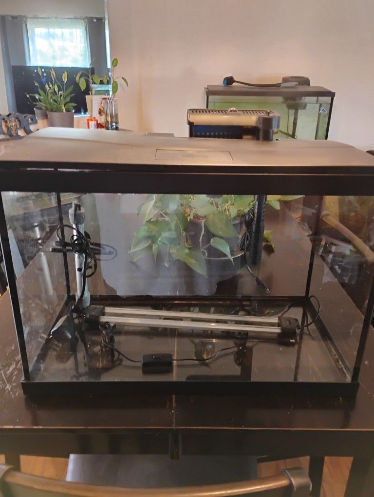 30 Gallon Fish Tank Complete