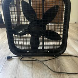 Lasko Fan