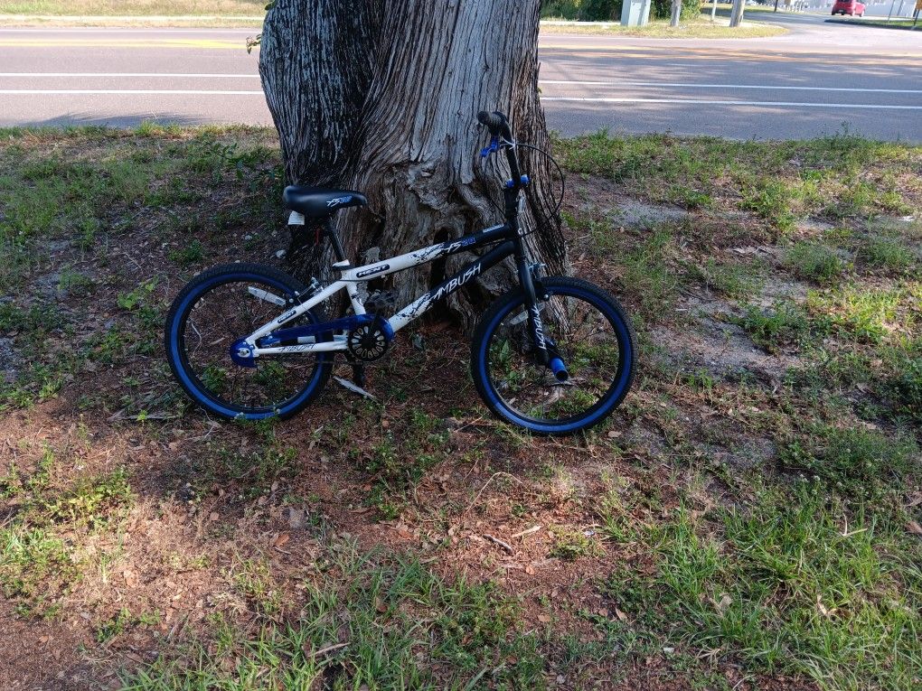 Ambush Kent Fs20 BMX Bike