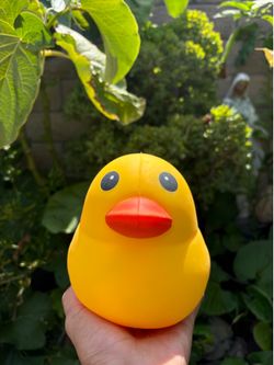 Sunny Days Squeezy Yellow Duck 💛