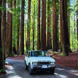 1993 Nissan Pathfinder