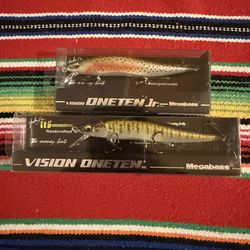 Megabass Vision 110