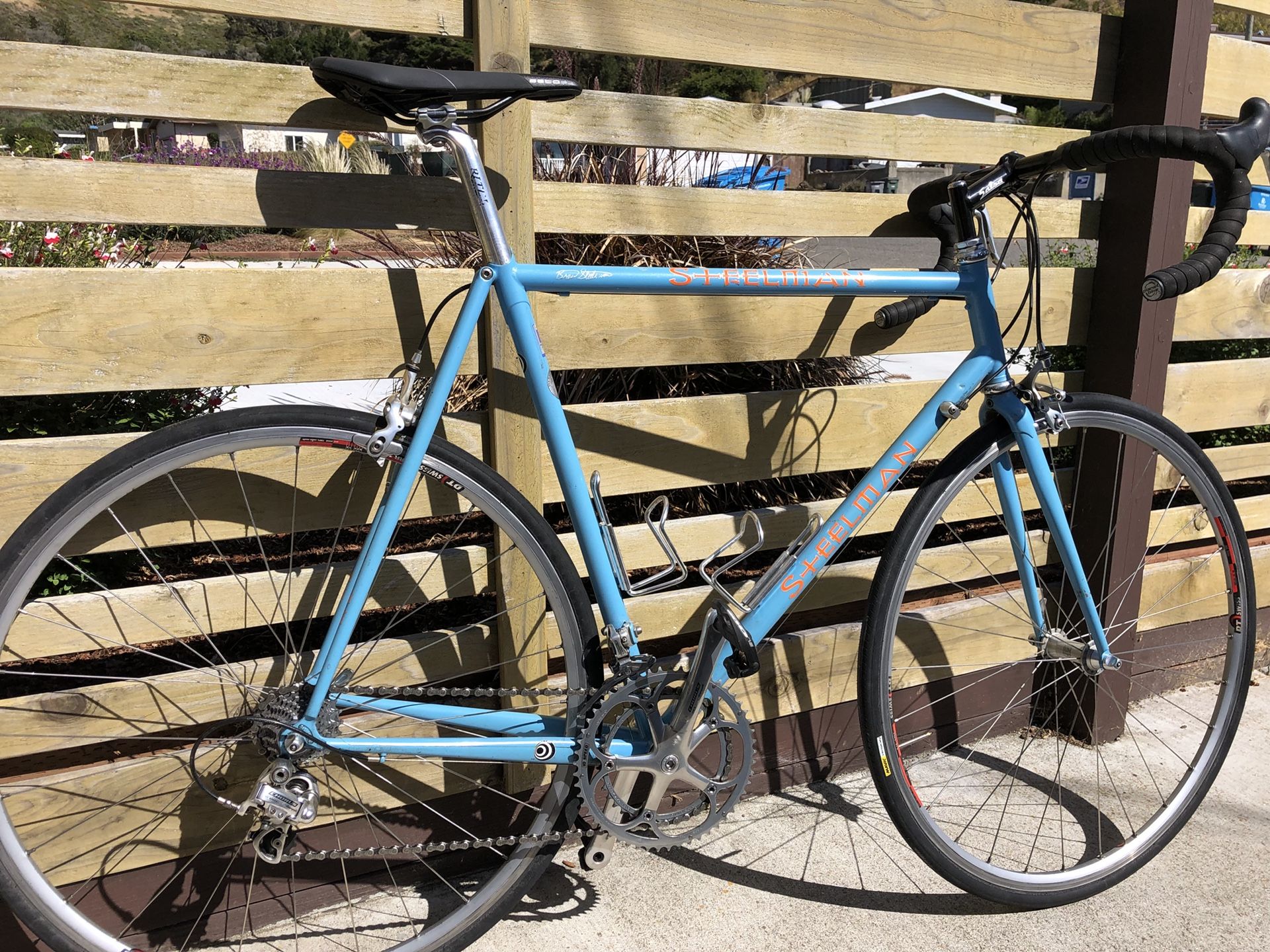 steelman race bike