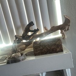 Reptile Stuff
