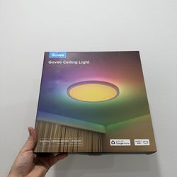 ⚠️Flash Sale⚠️ Govee Ceiling Light