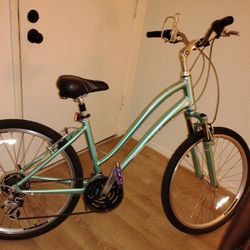 Giant Brand Bike 