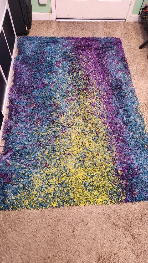 Peacock Colored Shag Rug