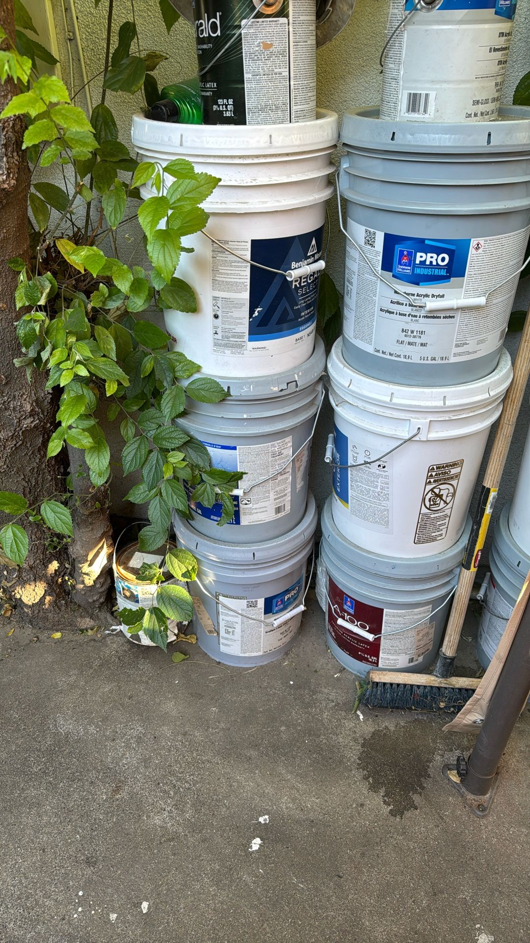 paint Cheap Price