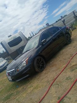 2010 Honda Accord