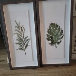 Plant Frame