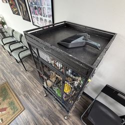 Birds Cage
