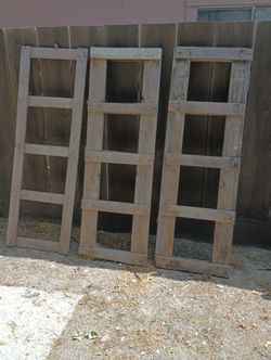 Garden Trellises or ?