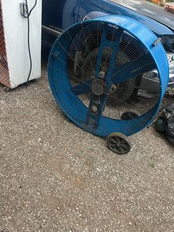 Fan