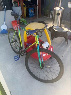 Fixie golden cycle