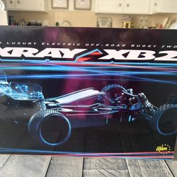 Luxury Electric Off-Road Buggy