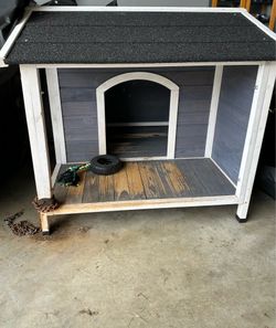 Dog House