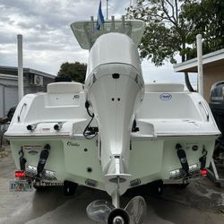 boat and outboard motor painting services