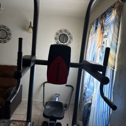 Weider Power Tower