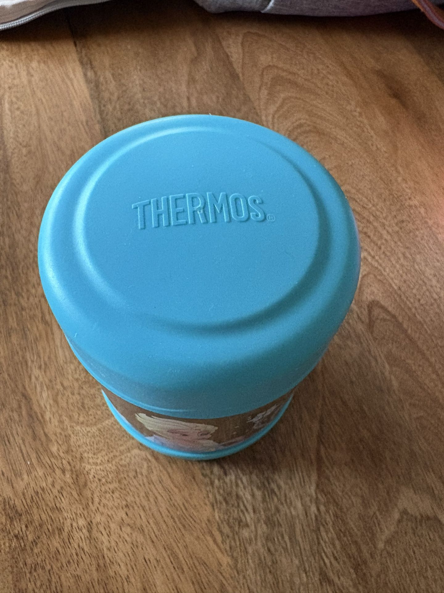 Disney’s Frozen Thermos