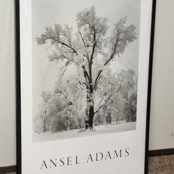 Ansel Adams Black & White Oak Tree Framed Art Print 28x40