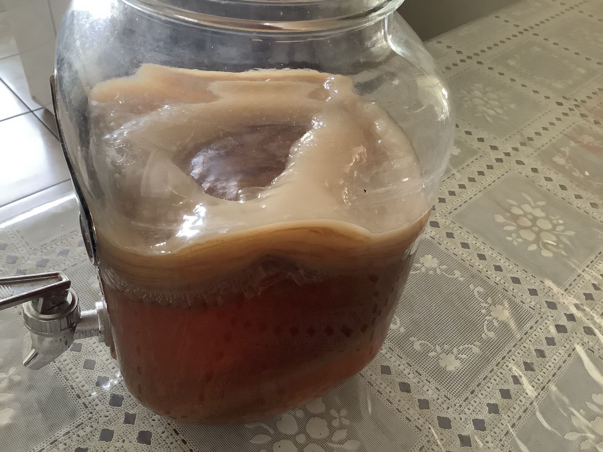 Kombucha Gratis