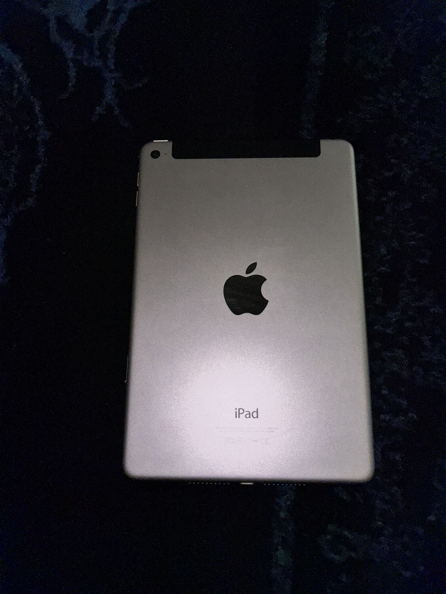 iPad