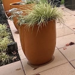 Large Orange Flower Pot