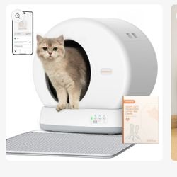 Meowant