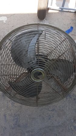 Fan
