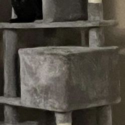 Cat Tower