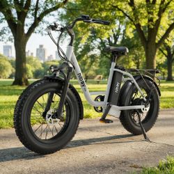 Fat Tire Electric Bike