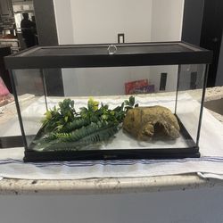 10 gallon Snake/Reptile tank + supplies $80