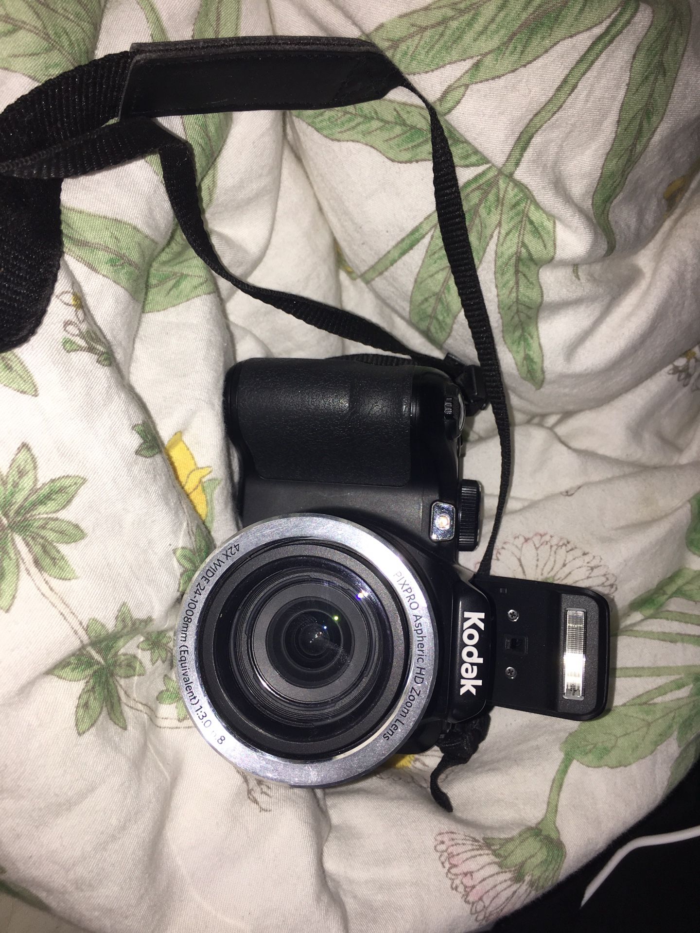 Kodak