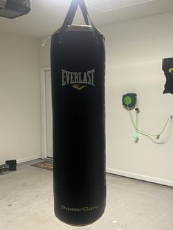 Everlast Power Core Heavy Bag